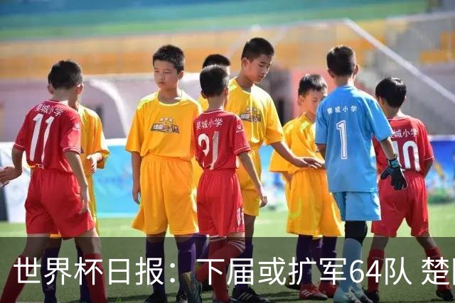 世界杯日报：下届或扩军64队 楚阿梅尼复出战西班牙