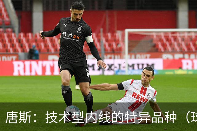 唐斯：技术型内线的特异品种（球员赛季分析报告）