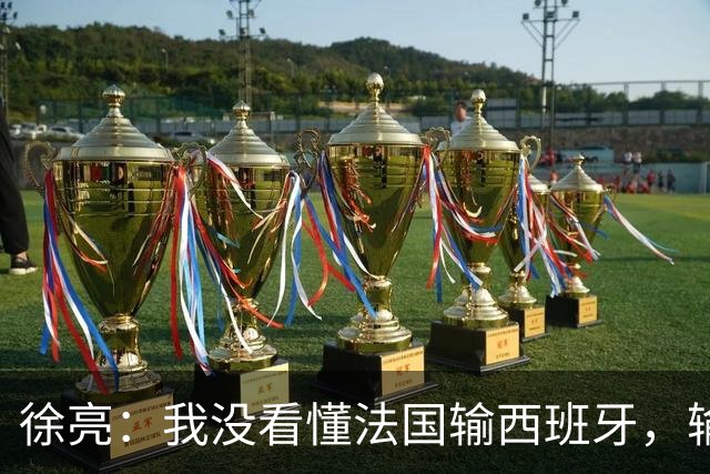 徐亮：我没看懂法国输西班牙，输就输&不存在资本介入之类