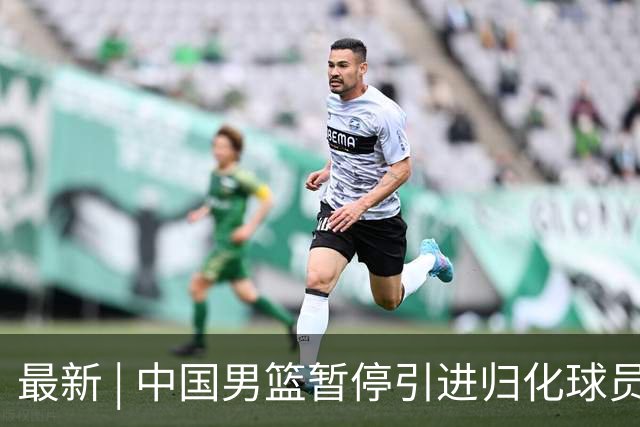 最新 | 中国男篮暂停引进归化球员