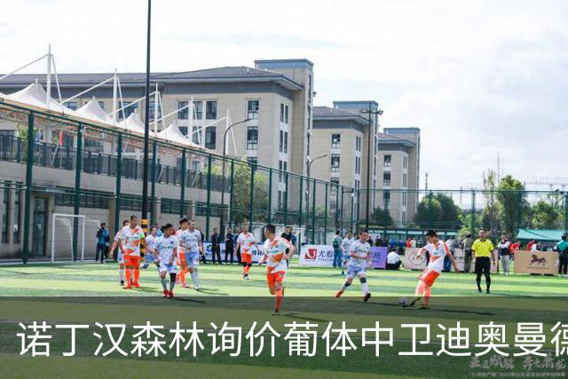 诺丁汉森林询价葡体中卫迪奥曼德 解约金条款6千8百万
